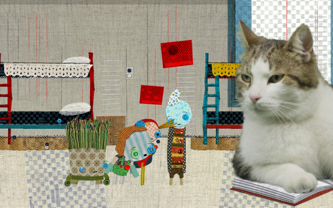 Mr Chat et les Shammies