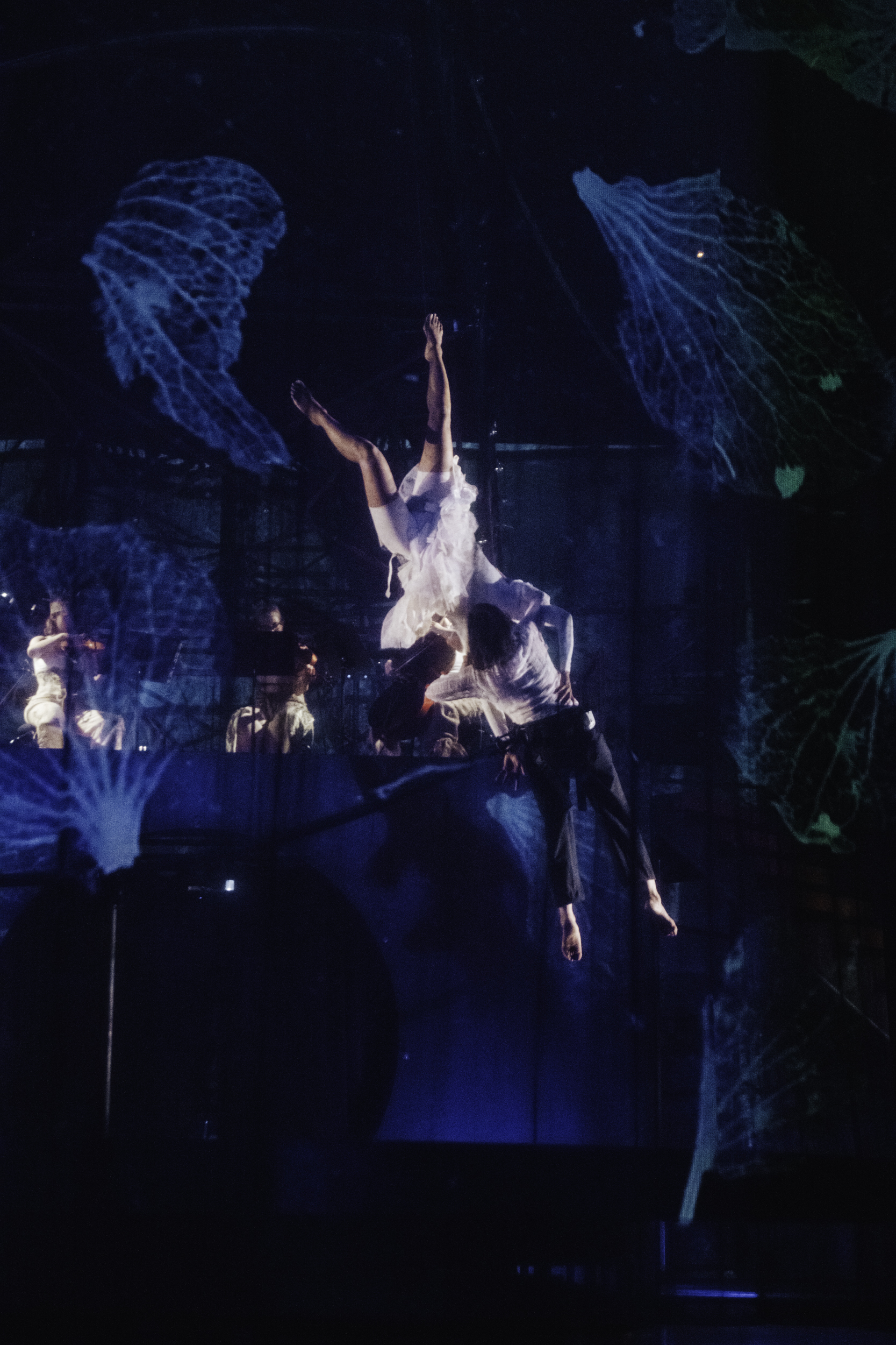 photo spectacle Le Petit cirque