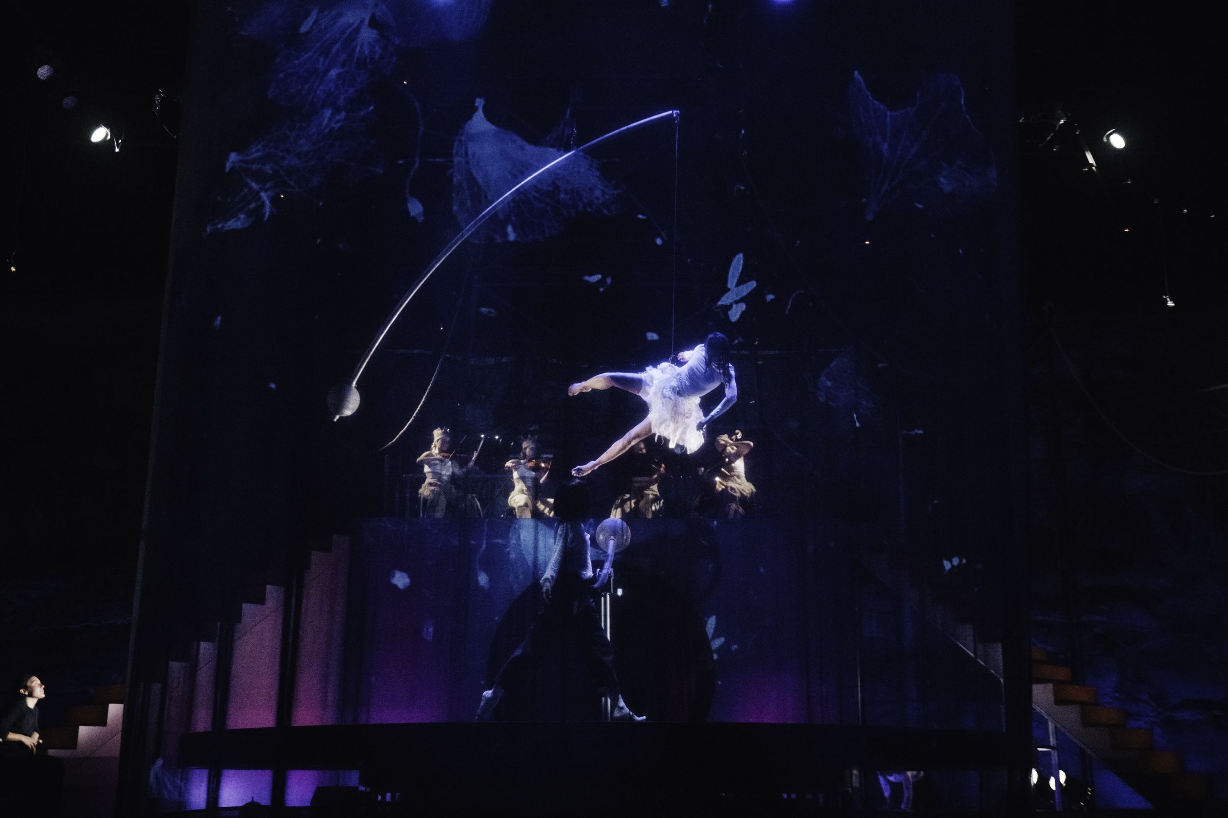 photo spectacle Le Petit cirque