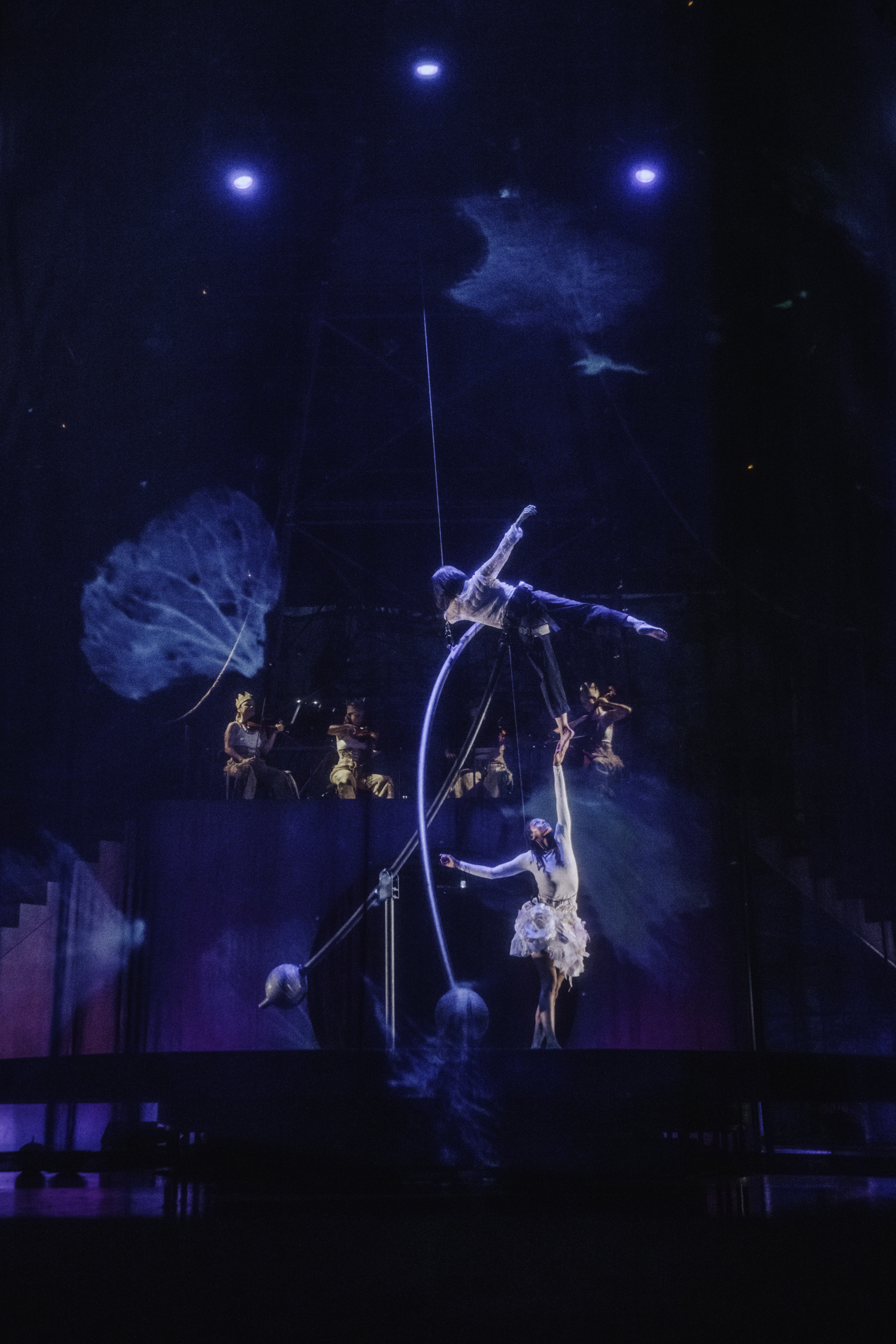 photo spectacle Le Petit cirque