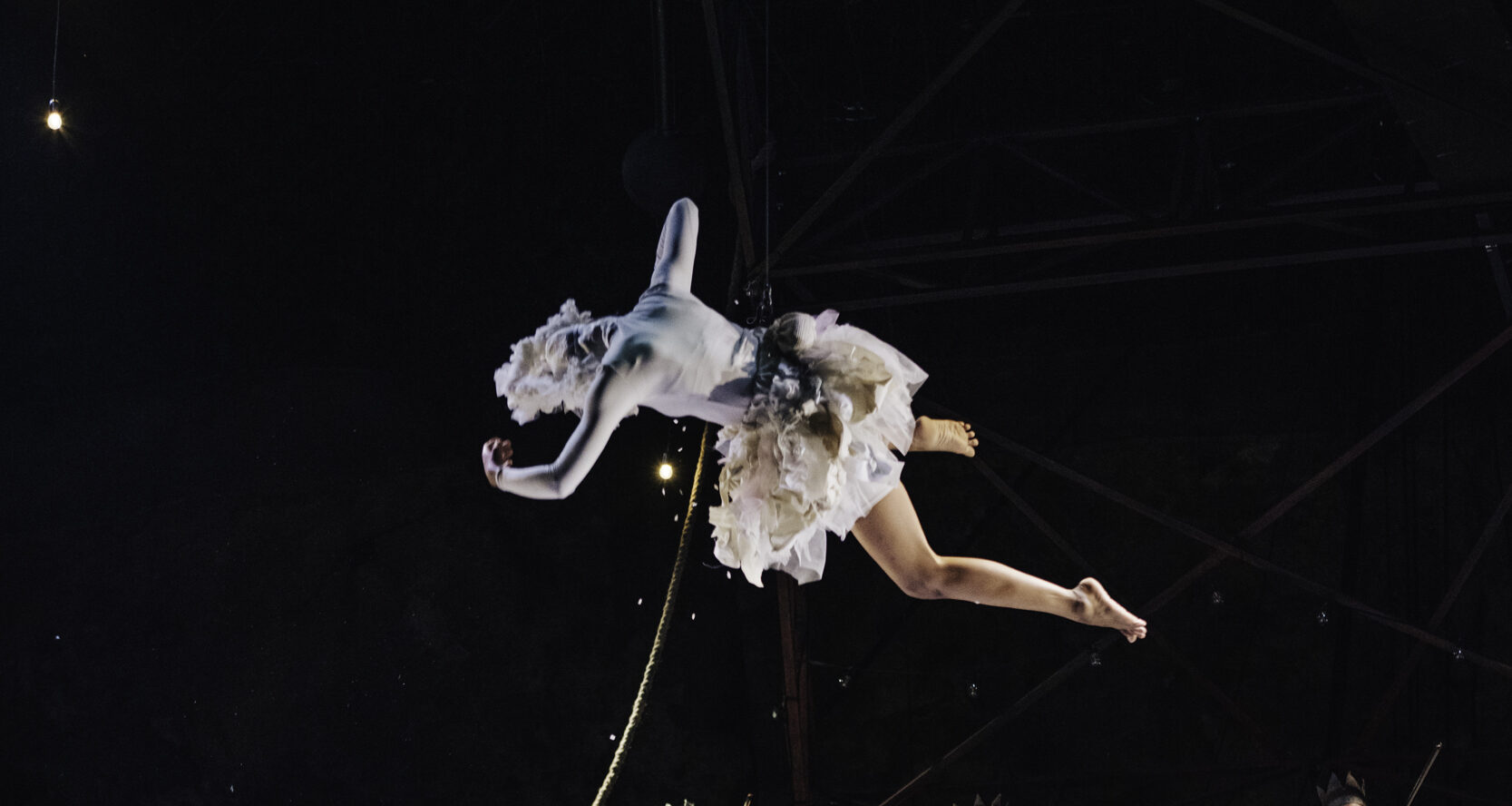 photo spectacle Le Petit cirque