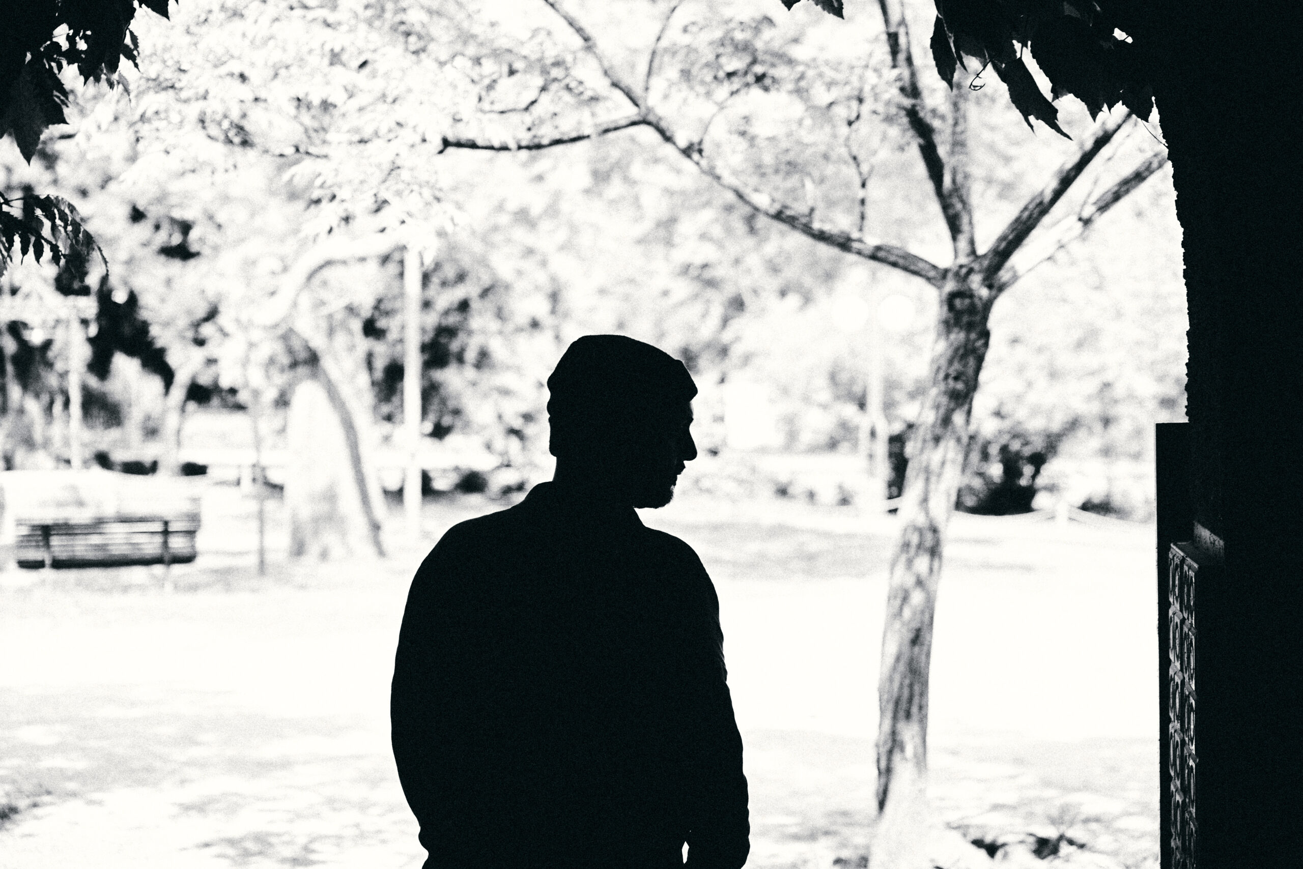 photo Shai Maestro