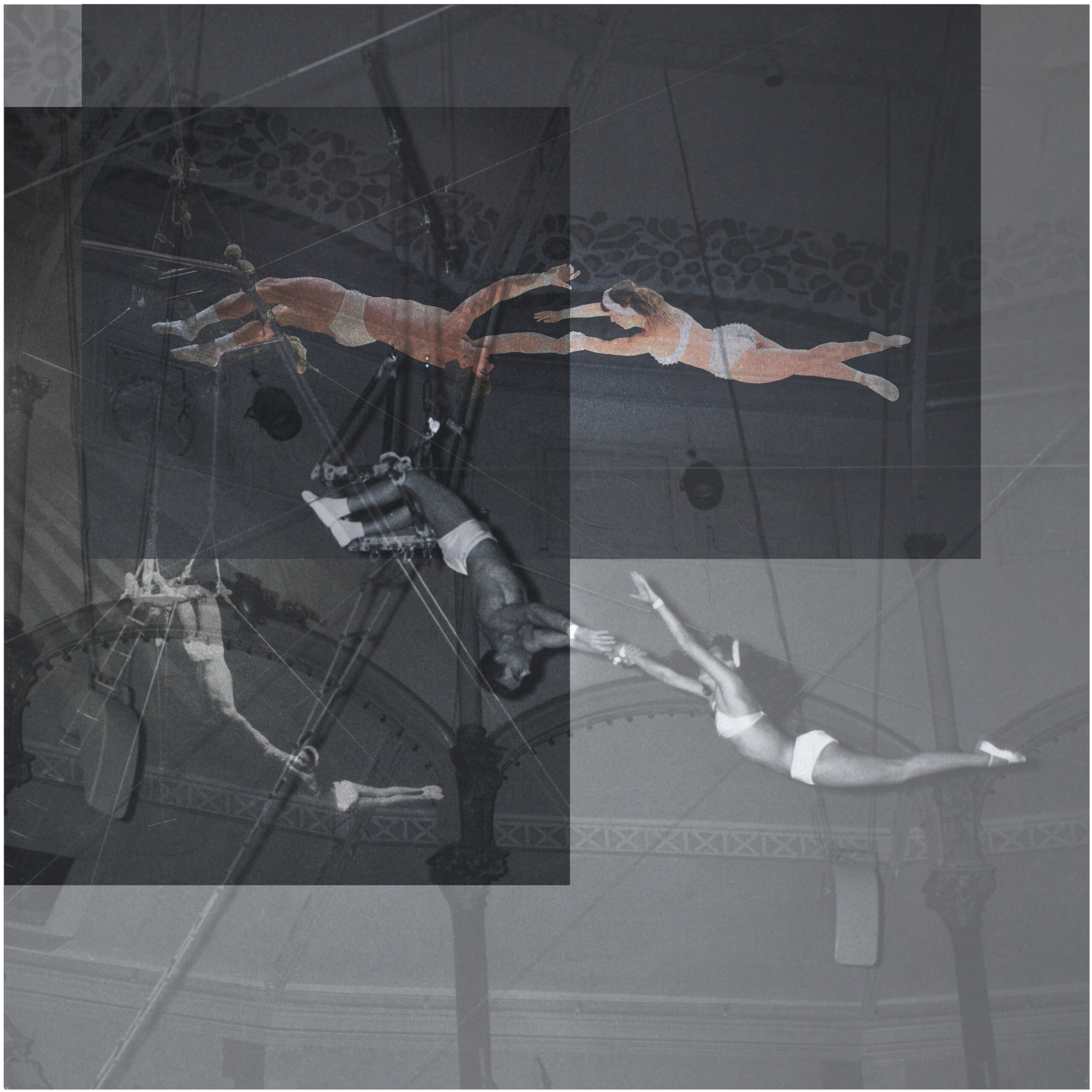 collage d'archive numér des Antinoüs