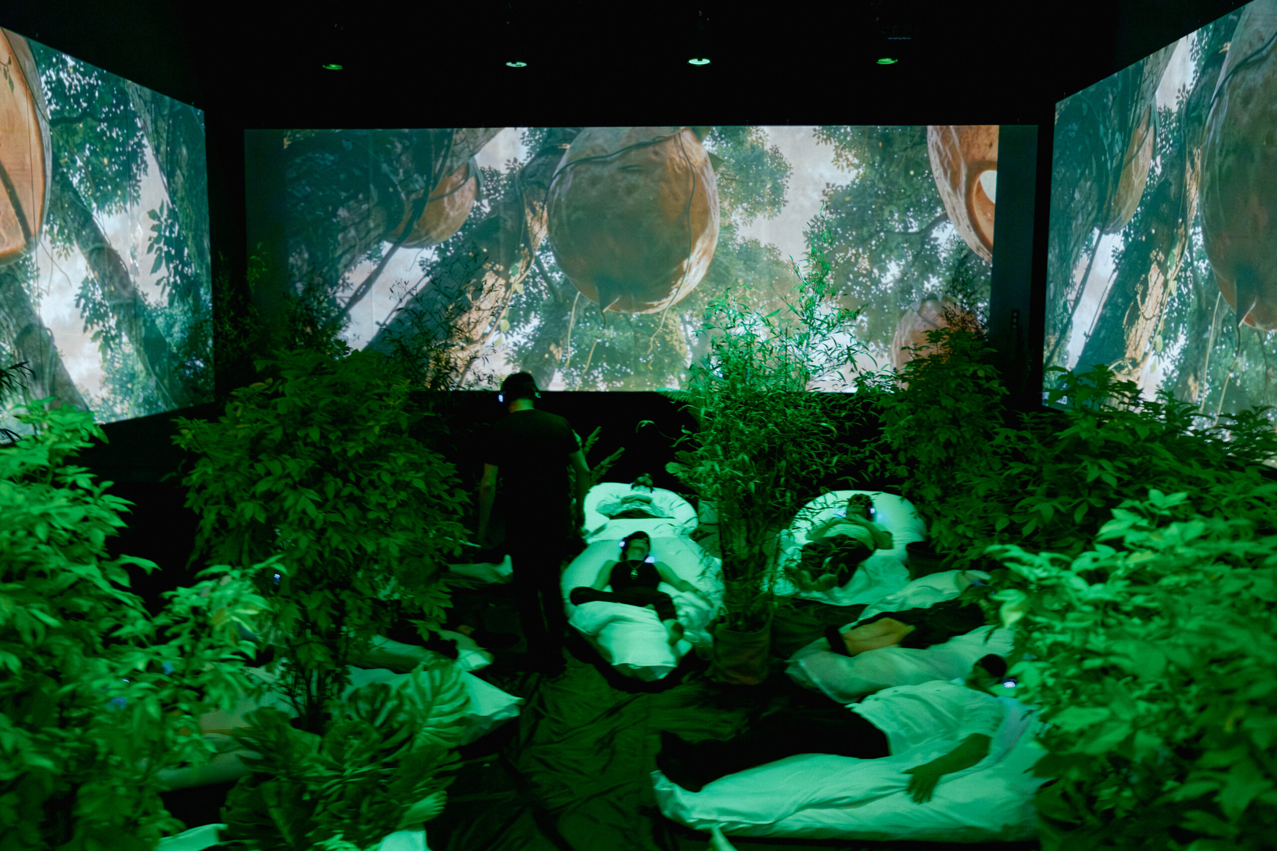 photo spectacle Sleep for Earth