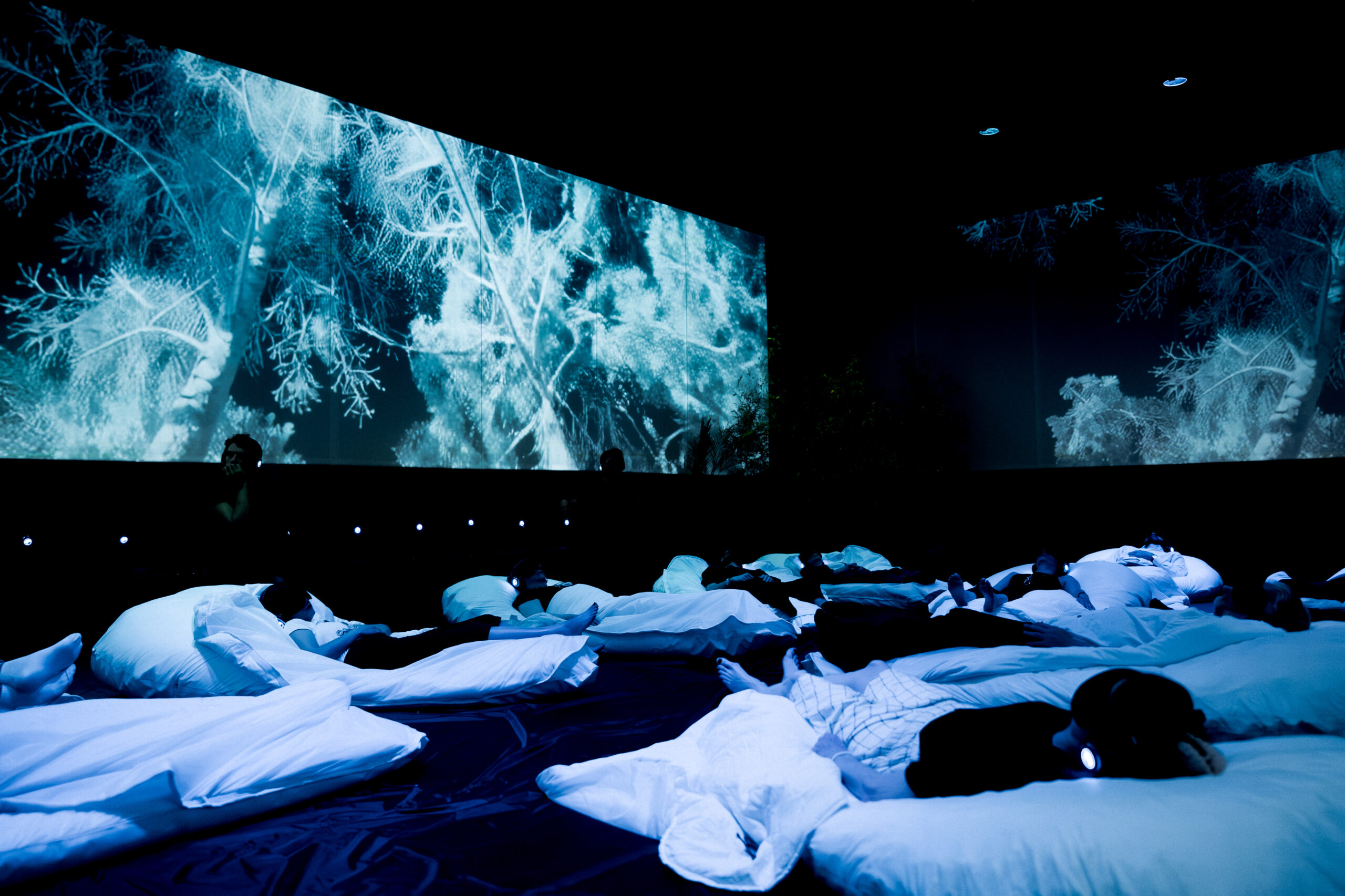 photo spectacle Sleep for Earth